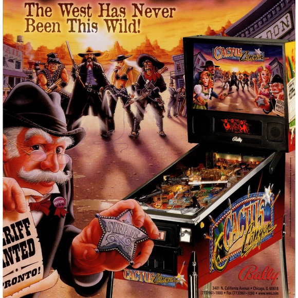 Cactus Canyon Pinball Flyer Original NOS Art 1998 Cowboys Wild Western Vintage - Picture 1 of 3